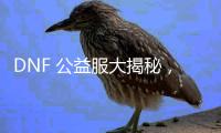 DNF 公益服大揭秘，今日正式发布开启冒险